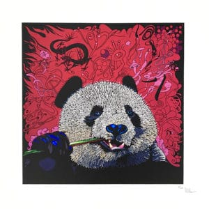 Editin numérique de l'artiste Paxal.