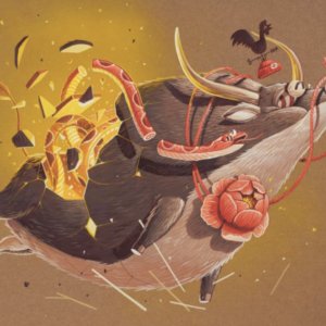 Stom500 <br> Zodiac - Boeuf, le 2ème