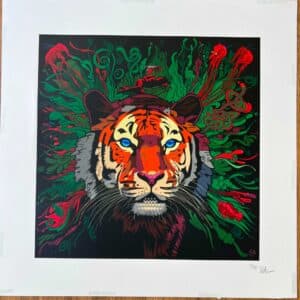 Paxal  Tigre