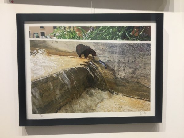 OAK OAK <br> Ours , 2019