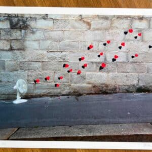 OakOak  Flying hearts