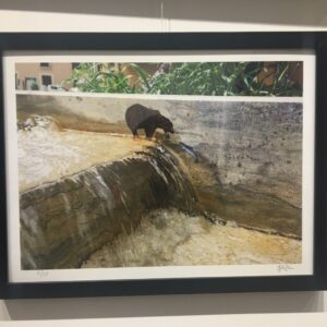 OAK OAK <br> Ours , 2019