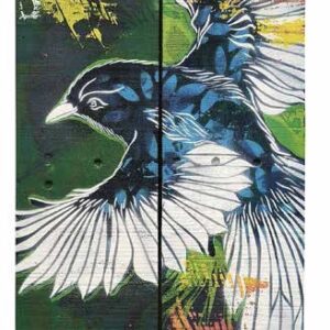 Stew <br> Feinte, 2024